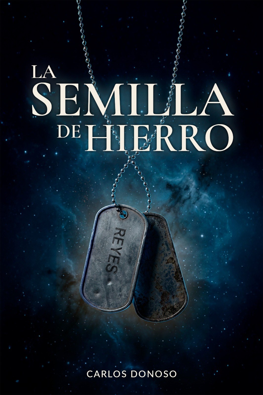 Cover of A Memory of Iron